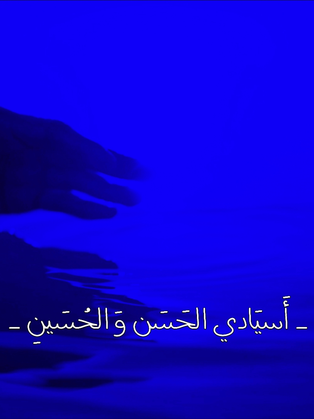 أَسيَادي الحَسَن وَ الحُسَينِ . #fyp #الحسين 