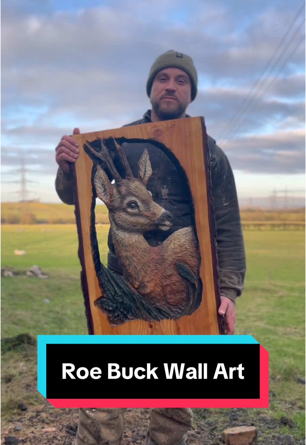 Watch me carve this Roe Buck wall art (ft Farmer Greig’s sheep) #chainsawcarving #woodart #woodartist #woodwork #woodworking #woodcarving #deer #handmade #wallart 