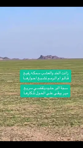 زانت الخد والعشـب سمكـه رفيـع  قـالـو ام الـرمـم تشـبـع احـوارهــا #محمد_الصالح_🇸🇦 #محمد_محمد🤍🕊🌺🌸 #محاورات_قديمة #كسبلور #كسبلوررر #كسبلور_explor #كسبلورر 