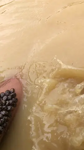 #ticksonhand 