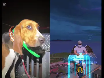 #freefire #freefirelatino #perroglobodetexto #globodetexto #globodetextomerecido #freefirecringe #cringe #parati #viral #fyp #viralvideo #foryou #foryoupage #meme #paratii 