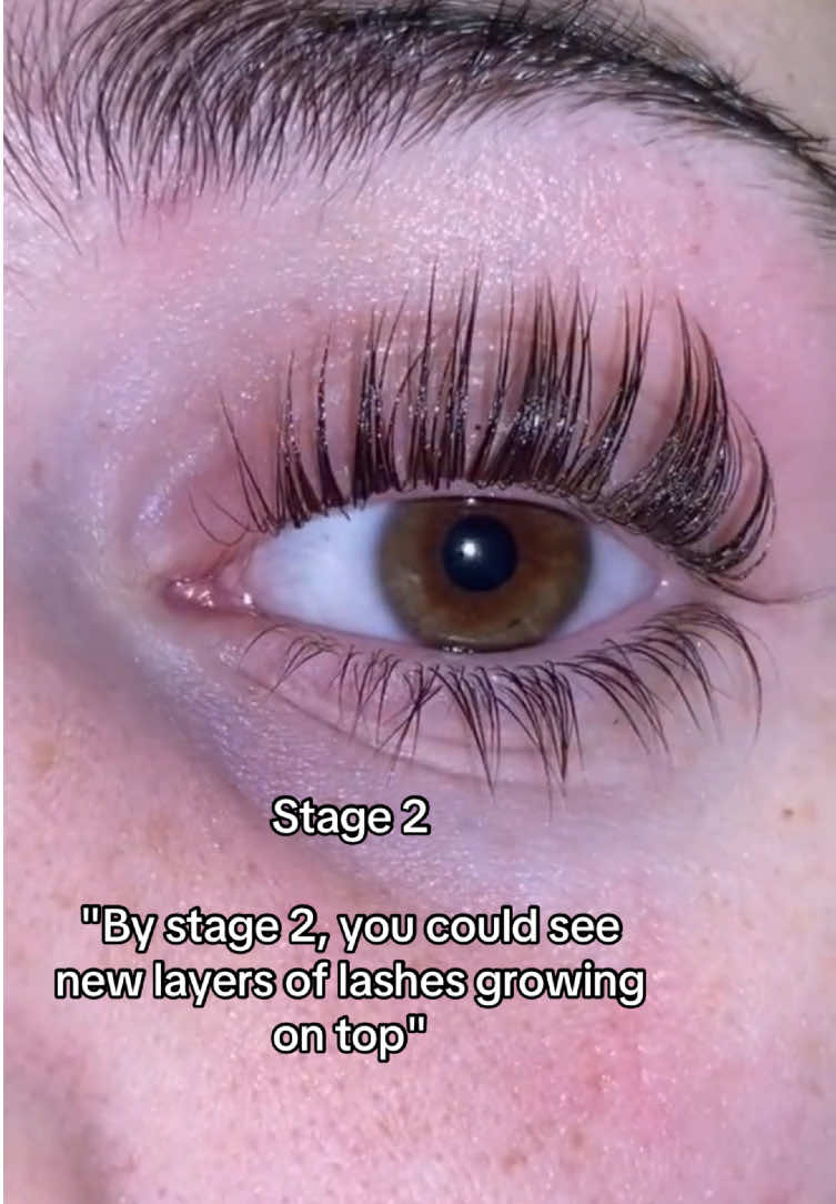 Use the code ‘MELA10’ for -10% on Lashbymaya.com🫶🏼