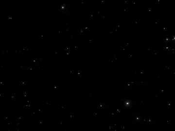 🖕🏽👀🔞 .' #الدود🦁♥️ #خالد_الدود❤☝🏽 #🔥❤الدود_المتسيط🔥❤  @اسلام كابونجا❤️ 