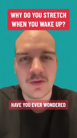 Have you ever wondered why you stretch when you wake up? #stretch #monday #DidYouKnow #fyp #foryoupage #calgary #Fitness #wellness 