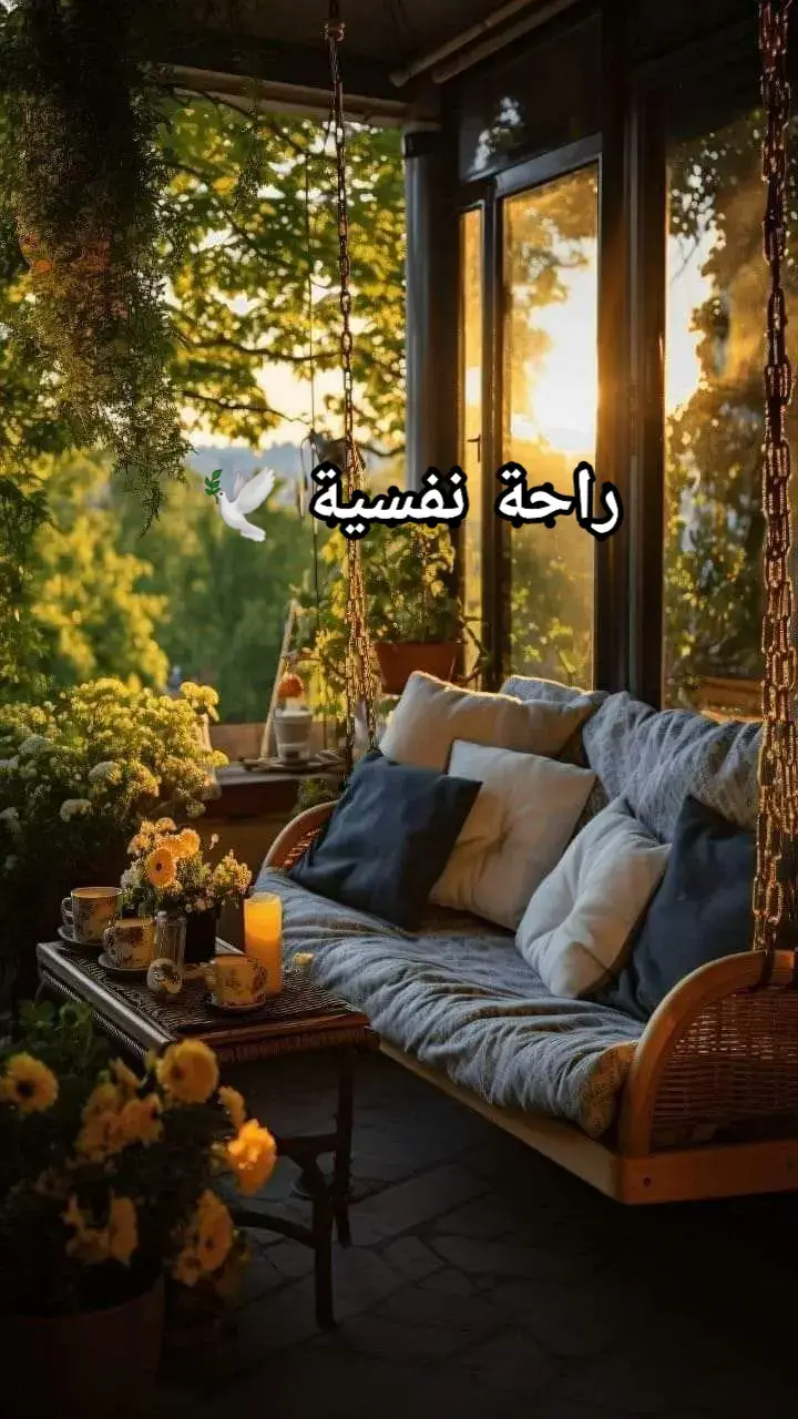 #تلاوات #قران_كريم #محمد_صديق_المنشاوي #ارح_قلبك_وسمعك🎧📻 #راحتك_النفسية🌿🕊️ #حالات_واتس #تصميمي #تصميم_فيديوهات #تيك_توك 