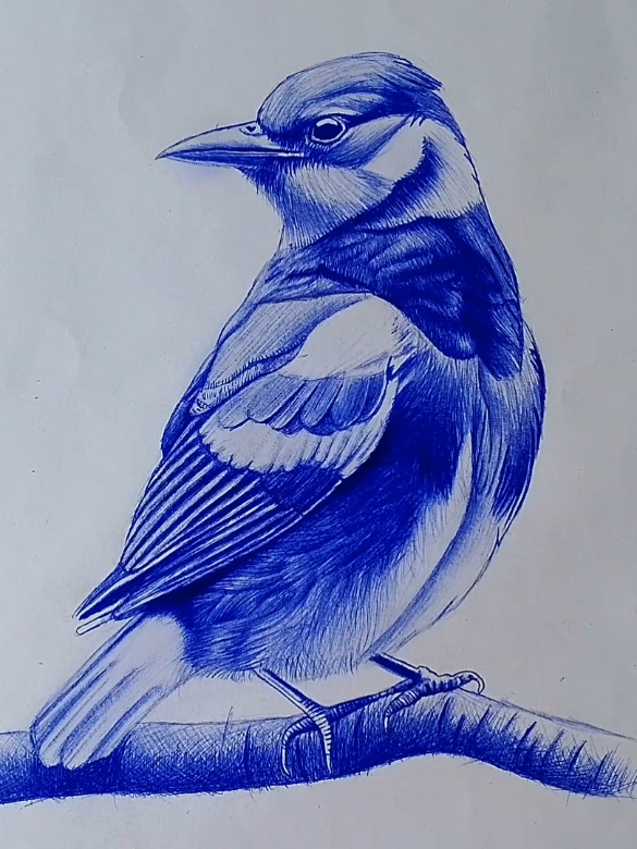 draw a beautiful bird with pen #draw #pendrawing #wipart #oliverfridayart #flyppppppppppppppppppppppppppppppp #artcollector #contemporaryart 
