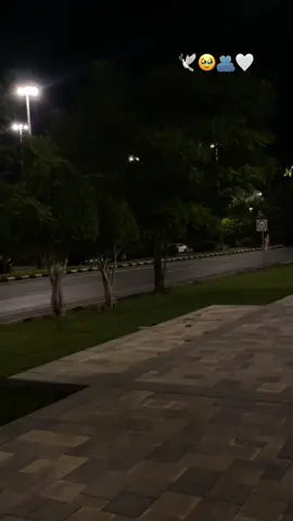 تعال اذ باقي لي بقلبك شعور تعال وخل الليل يبتدي فيك وينتهى بك..!!🕊️🫂🥹🤍❤️#اكسبلوررر #اكسسسسسبلورررررررررر🌹#الضباب_ابها  #الضباب#اكسبلورexplore ##الحب #حبيبي #احبكم  #المشكى_على_الله #خالد_عبدالرحمن_اعاني_حاولت_اجيبك #تصميم #تصاميم #تصميم_فيديوهات🎶🎤🎬 #من_اصدق_ما_قيل #من_اصدق_ماقرات #اكسبلور_explore #شيبت_روحي #ترند_تيك_توك #اطلبي_يانفس_دام_الله_كريم #اكسسسسسبلورررررررررر🌹 #foryou #viraltiktok #😭😭😭😭😭😭💔💔💔💔 #fyp #foryourpage #viraltiktok #fypシ゚viral #fyppppppppppppppppppppppp #بدون_هشتاق #بدون_توقيع #hope #tiktoklongs#foryourpage