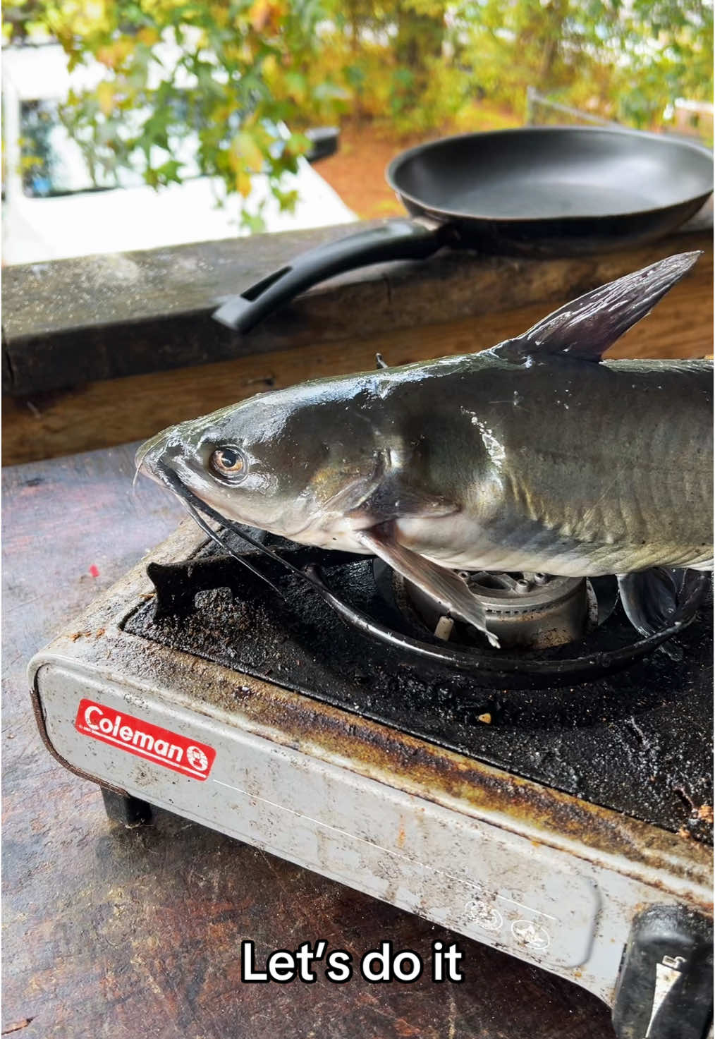 Cooking a philly cheese cat #fyp #catchcleanandcook #beardedfisherman #fishing #fish 