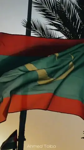 علمنا وفخرنا 🇲🇷 #موريتانيا#العلم#الإستقلال