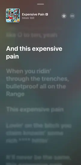 #meekmill #expensivepain #fypage #fyp #emotionallove2x 