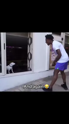 Again ishowspeed barking 😂😂#barking #humour #blaguedujour #momentsdrôles #funnymemes #mortderire #childhood #funnyy #tendancetiktok #dog #dogs #streamer #stream #crazy 