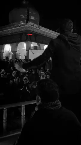 يا كلبي كافي ولم العتاب 💔يا زينب #مسلم _الوائلي @مسلم الوائلي 