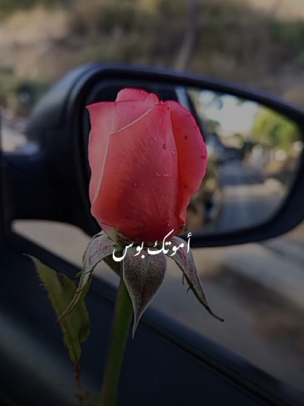 #CapCut اذا اشوفك اموتك بوس  #موال #ماجد_المهندس #تصميم_فيديوهات🎶🎤🎬 #اكسبلور #fyp #ترندات_تيك_توك #تصويري #lavendr81 #viral #foryou #trending 