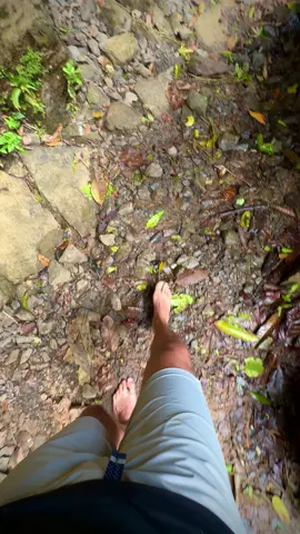 🇨🇷 Para mi la mejor catarata de Costa Rica  #CostaRica #waterfall #perezzeledon #sanjose #paraiso #catarata #view #centroamerica #bosque #travel #fun 