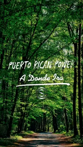 Puerto Rican Power - A Donde Iras #salsaromantica #salsa #creandosenti2 #salsabaul #salserosdeverdad #salseros #puertoricanpower #salsalatina  #CapCut 