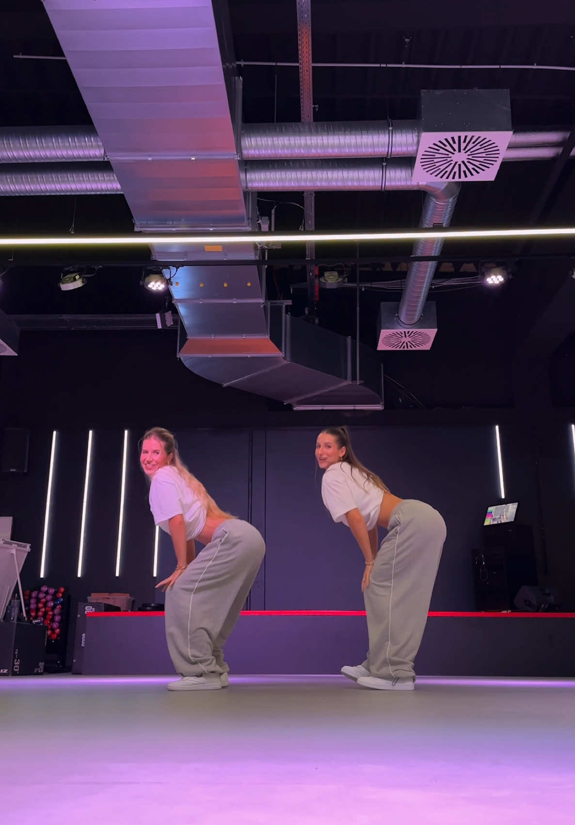 Party Animal Vibes 💜w/@Anna-Maria #sisters #dance #goodvibes #fürdich #fyp #dancechallenge dc: @Ivana Santacruz @Estefaniaelisa 