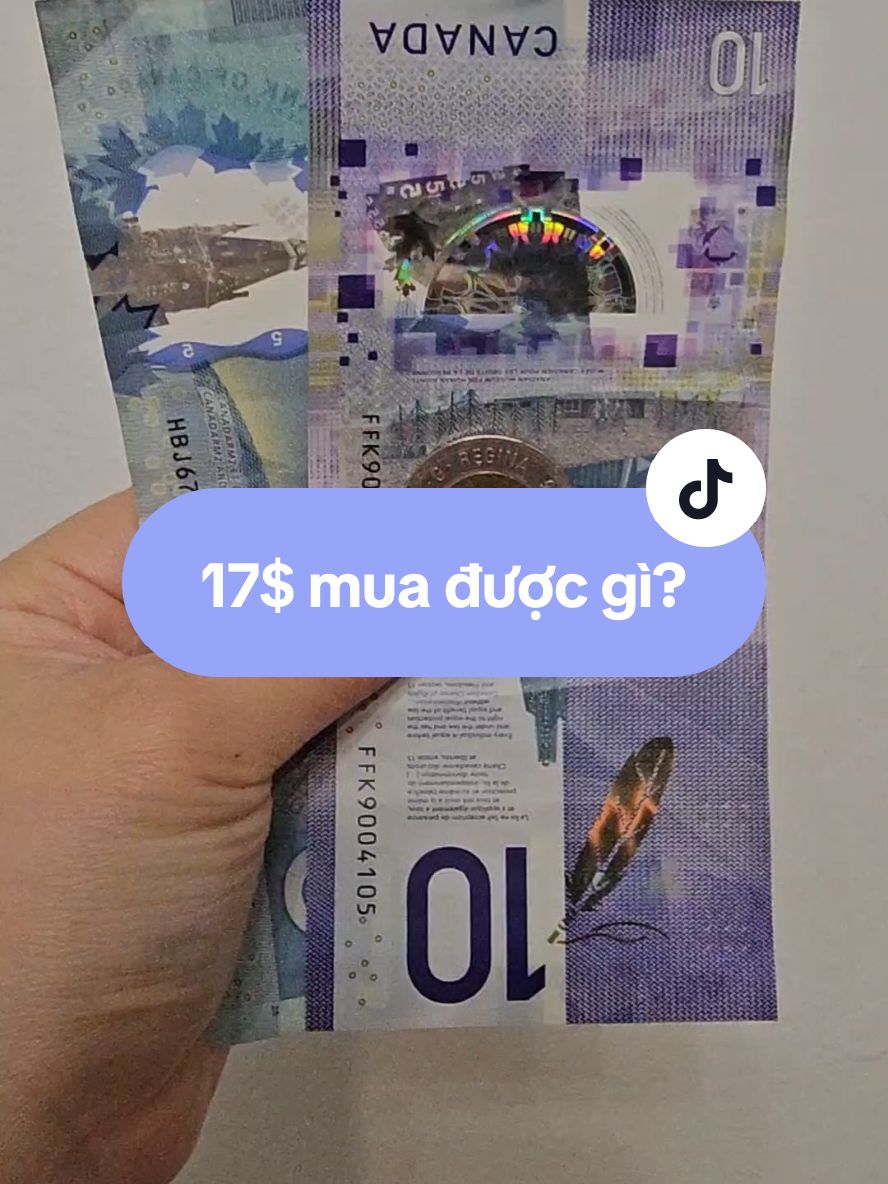 Lương minimum ở Ontario là 17.20$, tui đi chợ mua được gì nà. 