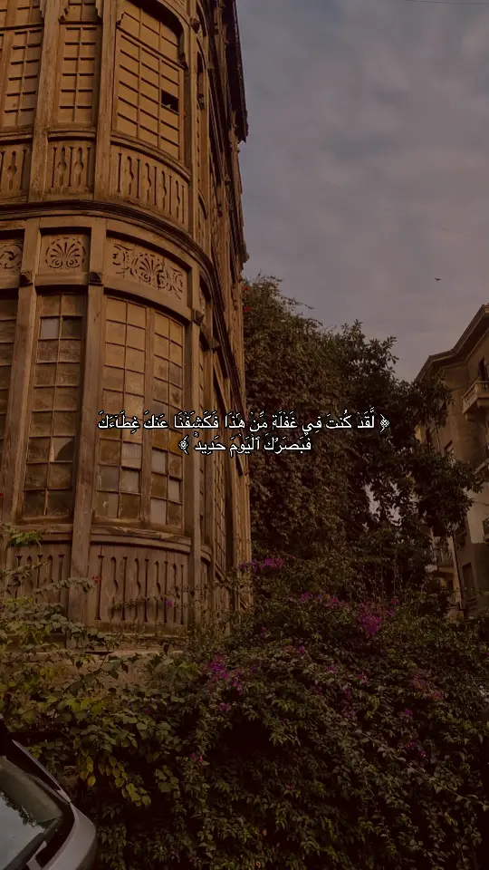 سورة ق #قران_كريم #قران #quran #muslim 