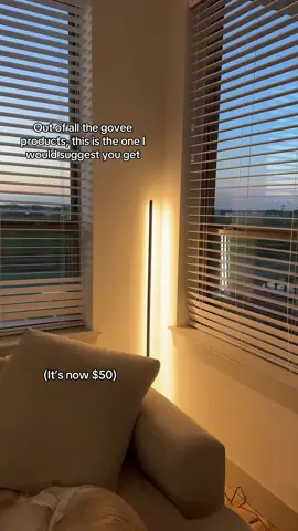 if youre looking to elevate your space, highly recommend this or to even gift it to a friend!  #goveesmartlamp #apartmentaesthetic #apartmentfinds #lights #ambientlighting 