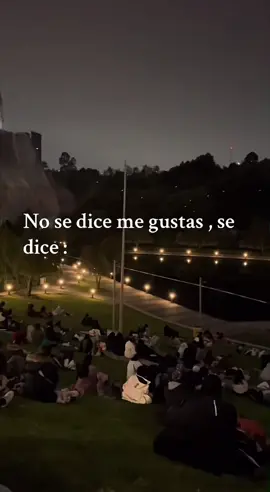 🌷𝓩𝓸𝓮🌷. #zoé #letra #cancion #paradedicar #paratiiiiiiiiiiiiiiiiiiiiiiiiiiiiiii #parat #edit #🌷 #❤️ #hol #viral_video #fyp #new #loveyou 