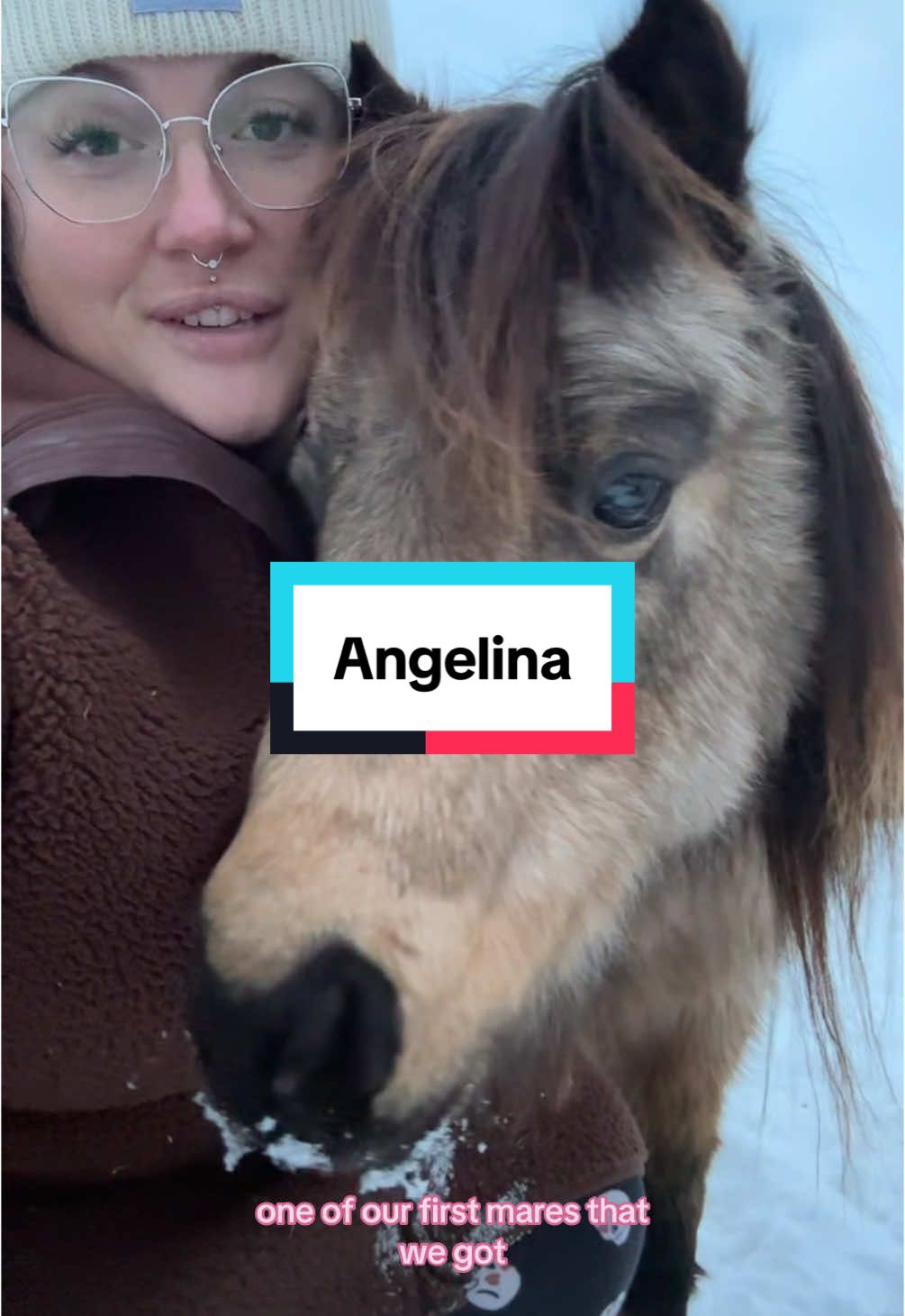 We love angie 💖 #minihorse