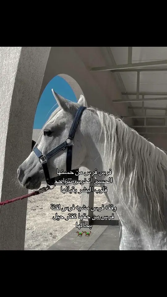 #fyp #viral #repost #foryou #فرس #حسين_الجسمي 