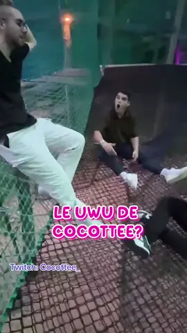 Cocottee et son UwU 😂 #pourtoii #streamer #stream #twitch #quebec #cocottee #cringe #drole 