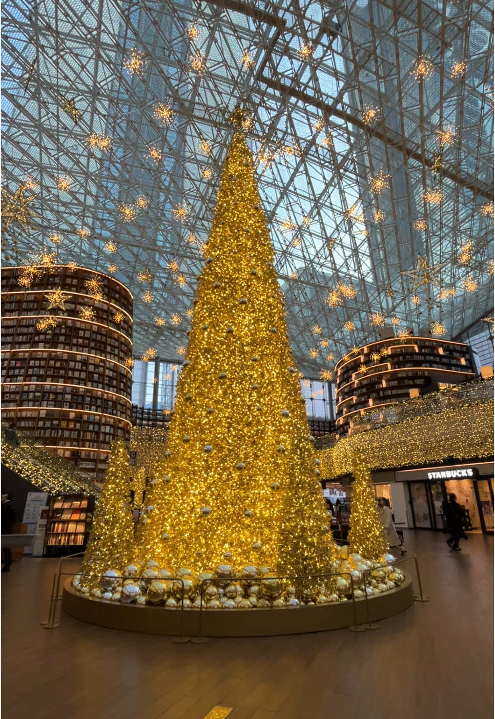 starfield coex library in gangnam is a beauty!! dec 10, 2024  #fyp #starfieldcoexlibrary #starfieldcoexmall #gangnam #christmasinseoul #seoul 