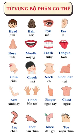 Từ vựng Tiếng Anh về các bộ phận cơ thể#tienganhmoingay #hoctuvungtienganh #tienganhcoban #tuvungtienganh #ilearnsmartstart #5phuthoctienganhmoingay #5phuthoctienganh #hoctienganh #bophancothe 