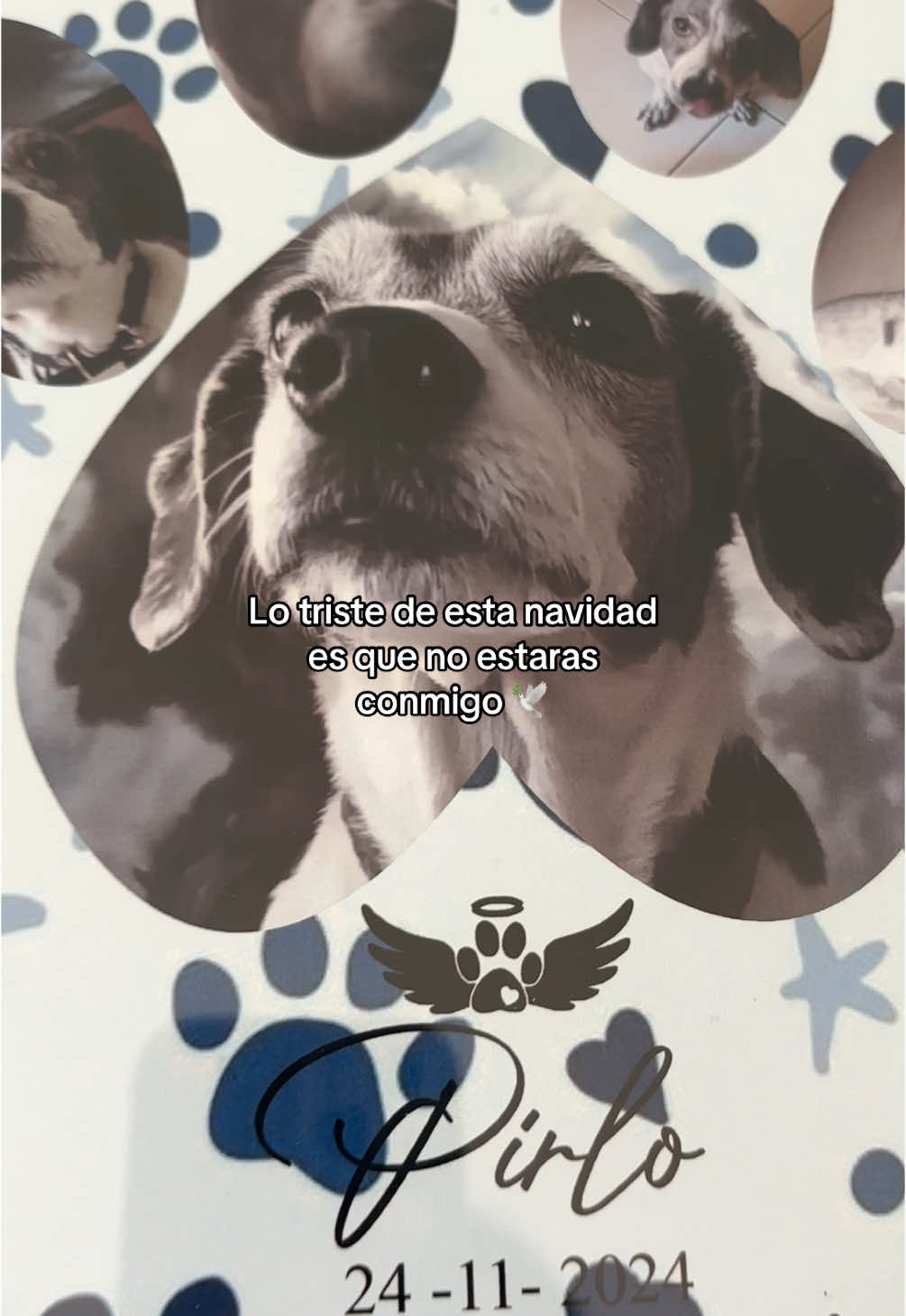 Conmemora su lealtad y amor con este cuadro personalizado ♥️🕊️🐶 #mascotas  #tristenavidad  #perritos  #perritosfallecidos 