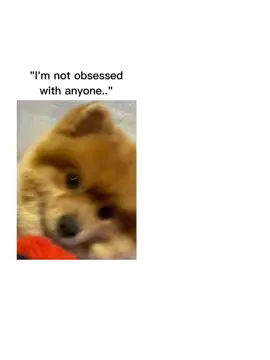 I am OBSESSED wuth my dog🐶💗🦴💍#CapCut#dogtok#puppy#cuteypie#pomeranian#🐶💗🦴 