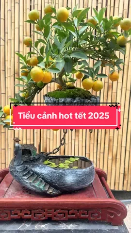Bộ tiểu cảnh đảo bay hot nhất của tết 2025. Mời cả nhà chiêm ngưỡng#daobay #decor #fypシ゚viral #bonsai #tet 