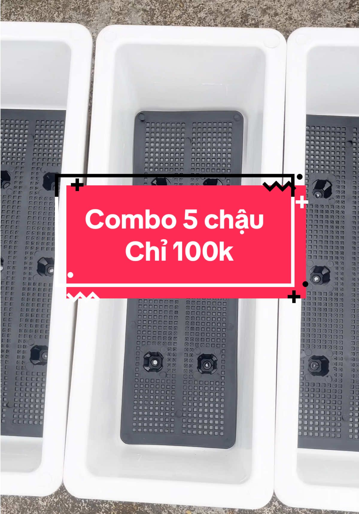 Combo 5 chậu nhựa chữ nhật trồng rau, trồng hoa chỉ 100k #tuuyen93 #chaunhuatrongcay #chautrongrau #chautronghoa 