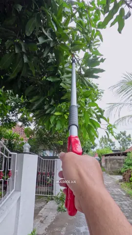 Rekomendasi pemotong dahan ranting pohon teleskopic 2 in 1 super tajam, anti karat dan bisa dipanjang pendekkan. #pemotongdahan #guntingdahan #guntingpohon #pemotongranting #kebun