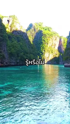 เพราะผมเป็น chill guy #เทรนด์วันนี้ #รู้หรือไม่ #fypシ゚ #สาระความรู้ #ความรู้ดีๆ 