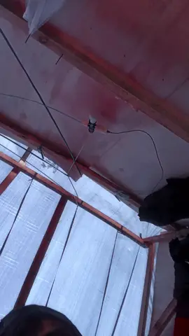 #snoppdog .....  #relax #fyp