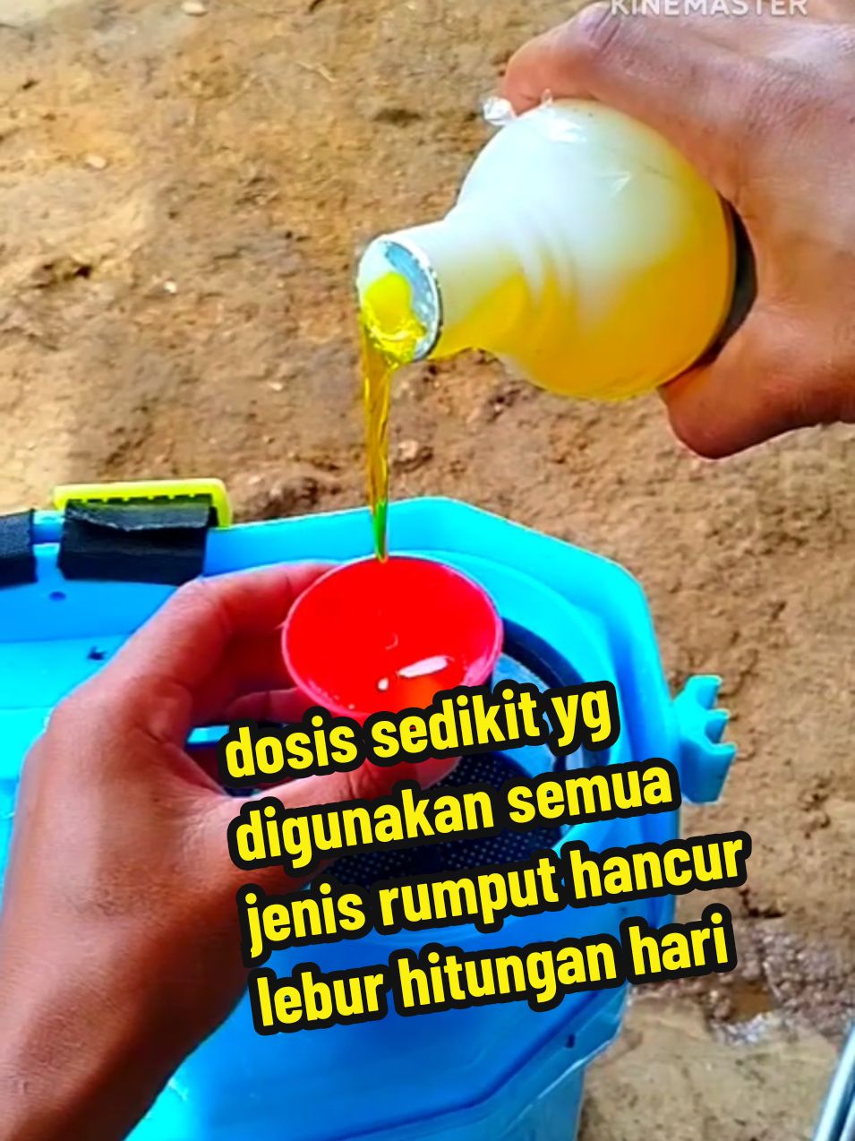 racun rumput ampuh dosis sedikit  semua jenis rumput hancur lebur#racunrumput #herbisida #herbisidasistemik #herbisidabablas 