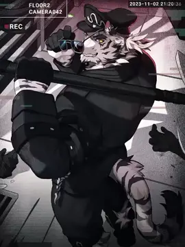 #CapCut 