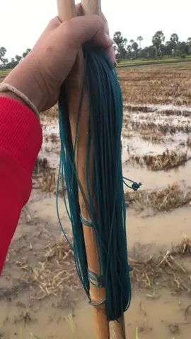 ខ្លែងឯកខ្មែរ🇰🇭🪁#ខ្លែងឯកខ្មែរយេីងពីបុរាណ🇰🇭 #ជួយចុចfollowនិងអោយបេះដូងផង #ខ្លែងឯកខ្មែរ🇰🇭🇰🇭 #អំបិល 