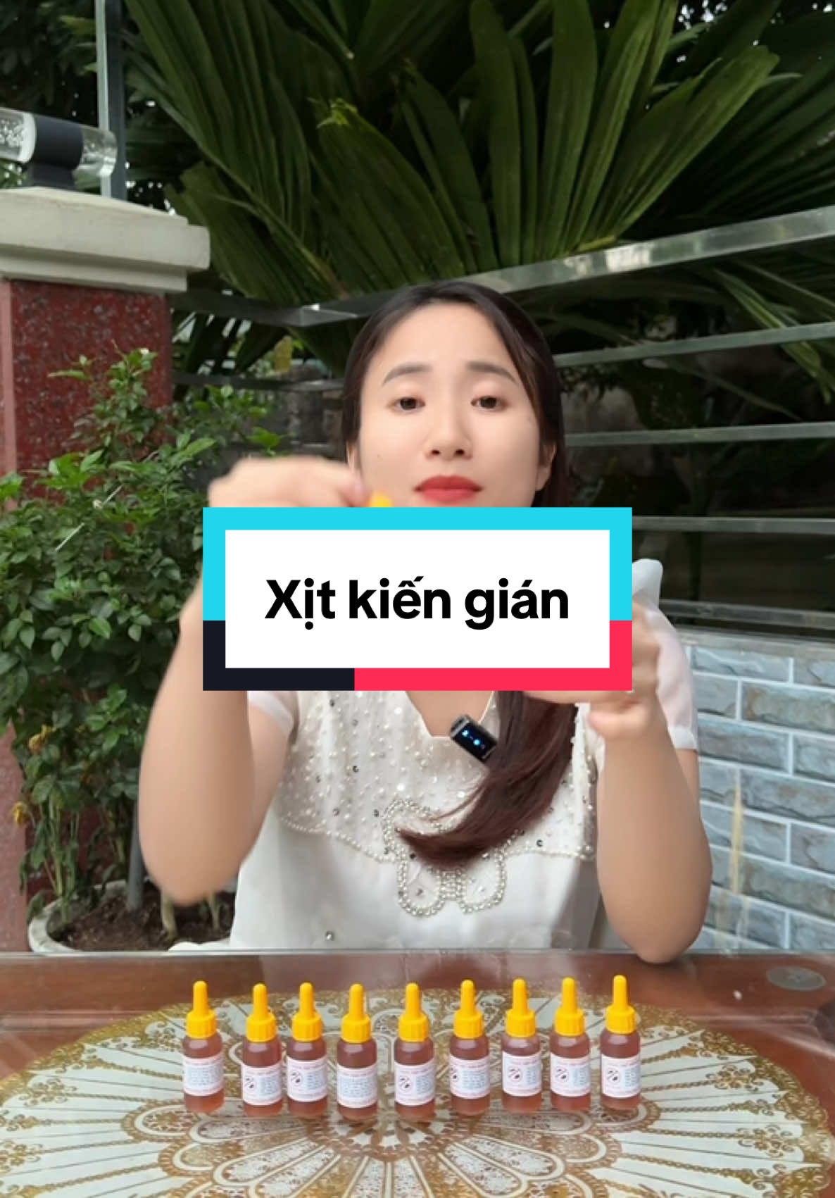 10 lọ xịt kiến dán chỉ mấy chục#thuockiensinhhoc #dietkiengian #xuhuong 