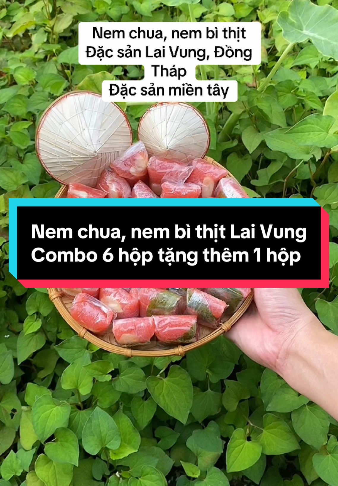 Nem chua Lai Vung mua 6 hộp tặng thêm 1 hộp #nemchua #nemlaivung #dacsanmientay #food #tet #xh 