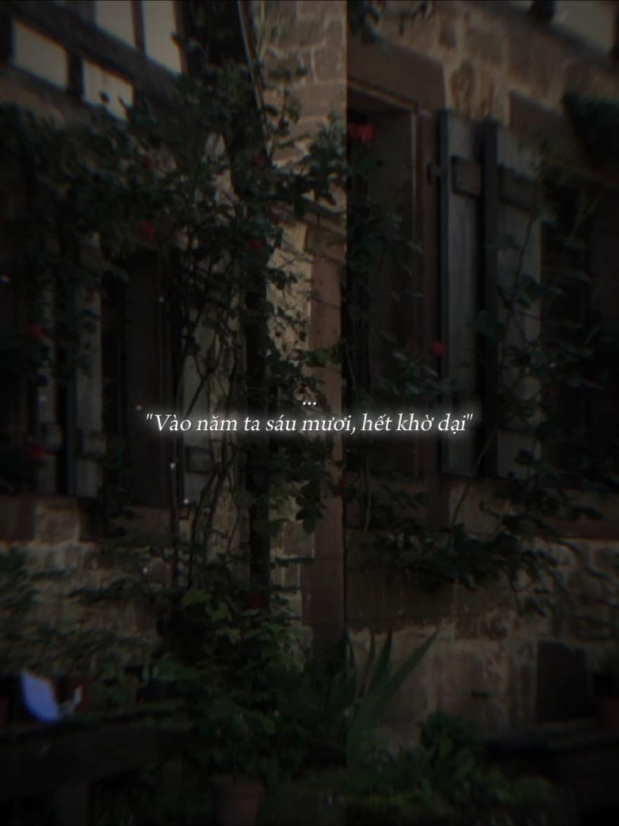 #CapCut Gặp lại ta năm 60 Remix - Rồi mai sau có duyên sẽ gặp lại #gaplaitanam60  #xuhuongtiktok2024 #nhachaymoingay #houselak #hung999 