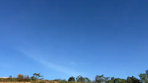 #แมวยักษ์😻 #วัยรุ่นรถแย๊ก✌️😂 #วัยรุ่นสายจก🚜 #cat320gc #cat323gc #ฟีดดดシ 