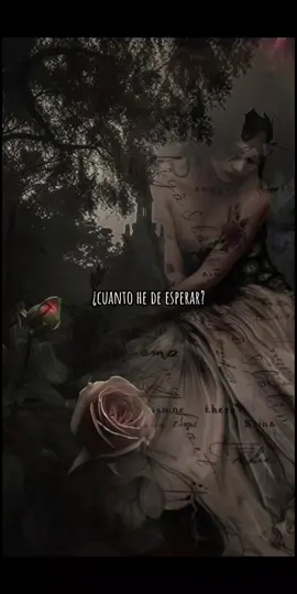 El Que Quiera Entender Que Entienda - Mago de Oz. #elquequieraentenderqueentienda #finisterra #joseandrea #2000 #metalenespañol #rockmetalenespañol #rockmetal #folkmetalenespañol #folkmetal #Capcut #rocklatino #lasleyendasnuncamueren💥🤴 #rockentuidioma #rolaschidas #buenamusica #fyp #buenamusica🎶🎤🎧 #foryou #paratii #paratiiiiiiiiiiiiiiiiiiiiiiiiiiiiiii #magodeoz #Magodeoz #magodeozoficial #magodeozfans 