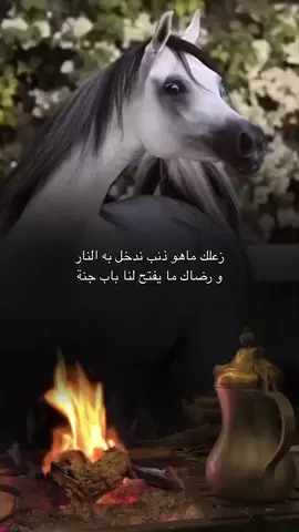 زعلك ماهو ذنب ندخل به النار #fyp #explore #مالي_خلق_احط_هاشتاقات #الشعب_الصيني_ماله_حل😂😂 #خواطر #تصميمي #شعر #خيل #لشاعرها #شبة_نار #دلة_القهوة 