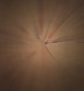 #CapCut 