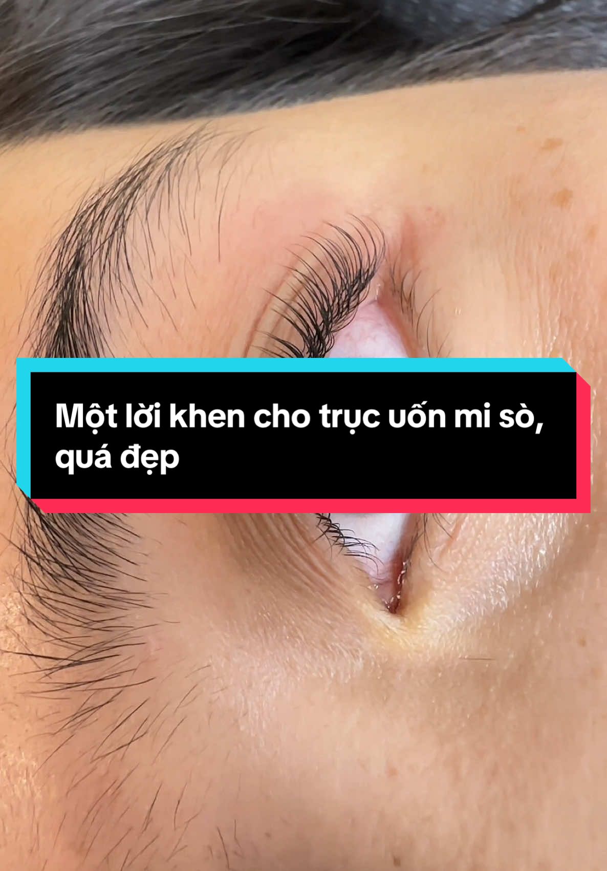 Ê mấy mà ơi, cái trục uốn mi sò nó đẹp thật á #lashextensions #sanxuatlongmigia #cocolash #glimocn #uonmi #uonmichuyennghiep #trucso #trucuonmiso 