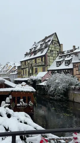 This is your sign to book that romantic winter getaway to Colmar, France 🥹❄️🤍 — a literal fairytale! #christmas2024 #colmar #romanticizeyourlife #weekendaway #christmastime #christmasishere #letitsnow #winterholiday #happyholidays #coupletok #francetiktok #beautifulplaces #goodlife 