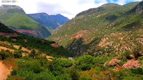 #LIVEReason #LIVEIncentiveProgram #PaidPartnership  riht douar ريحة الدوار واحد مشا يقرا الموت ديال الضحك 🤣🤣😂#ريحة_الدوار #riht_douar #الموت_ديال_ضحك #الموت_تاع_الضحك #ريحة_الدوار_محمد_عاطر #كلام_ومعنى 