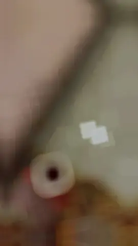 مات الغلا في خافقي من جفيناك #عيضه #عيضه_المنهالي #عيضة #عيضة_المنهالي 